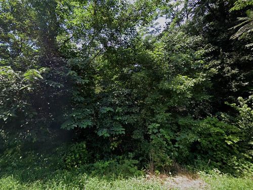 1715 Spencer Pl, Lynchburg, VA, 24504-3429 | Card Image