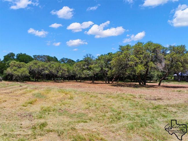 386 Landons Way, Home with 0 bedrooms, 0 bathrooms and null parking in Spring Branch TX | Image 8