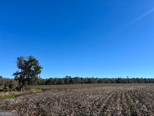 0 Bowen Hill Rd, Garfield, GA, 30425 | Card Image