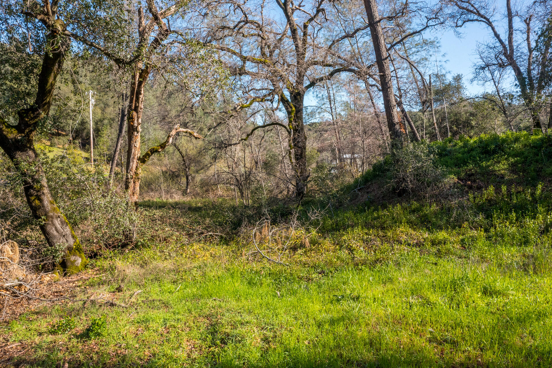 Land in Redding 3