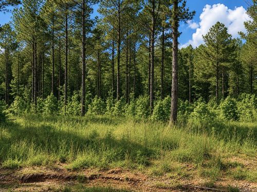 0 Grant 761 (Lot 16), Sheridan, AR, 72150 | Card Image