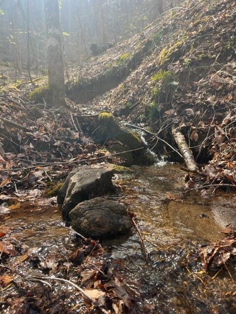 Land in Franklin 4