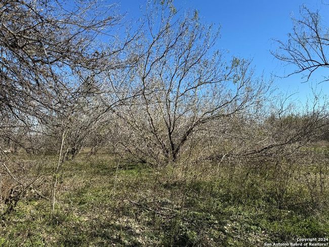 0 Castroville Rd, Home with 0 bedrooms, 0 bathrooms and null parking in Jbsa Lackland TX | Image 6