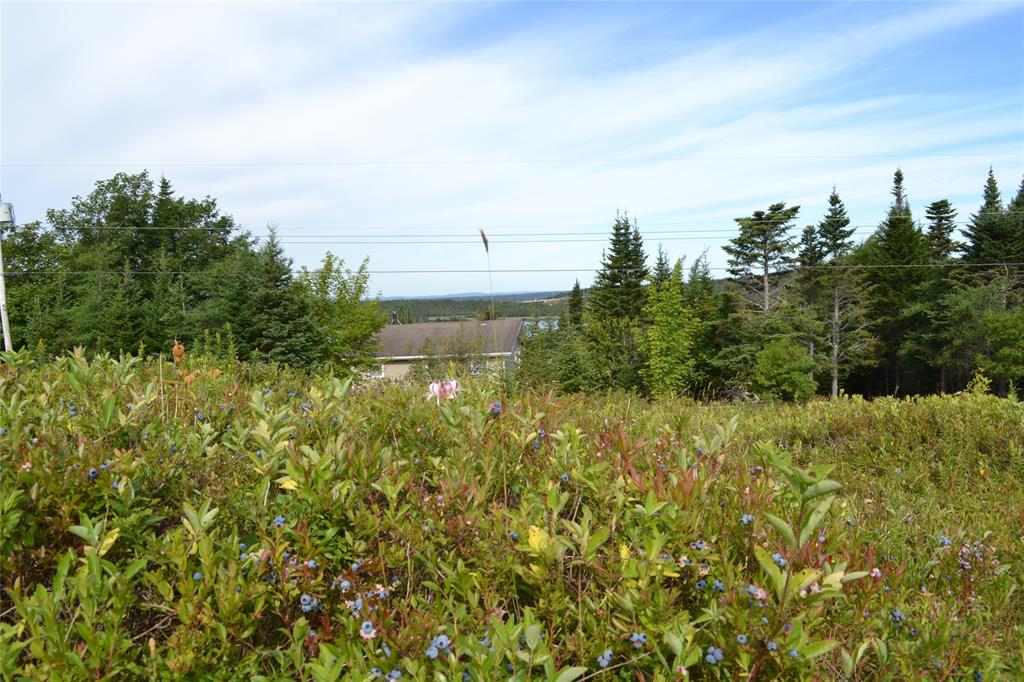 Residential in Brigus Junction 4
