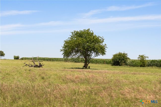 16160 Siler Rd, Home with 0 bedrooms, 1 bathrooms and null parking in Moody TX | Image 30