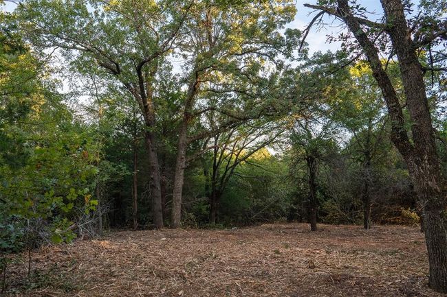 View of nature with a view of trees | Image 34
