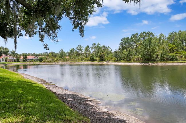 17807 Arbor Greene Dr, House other with 5 bedrooms, 3 bathrooms and null parking in TAMPA FL | Image 68