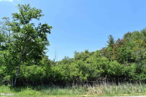 0 Oak Beach Rd, Port Austin, MI, 48467 | Card Image