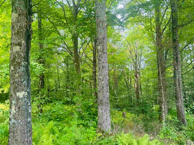 376 Stephenson Hts, House other with 3 bedrooms, 2 bathrooms and null parking in Irasburg VT | Image 13