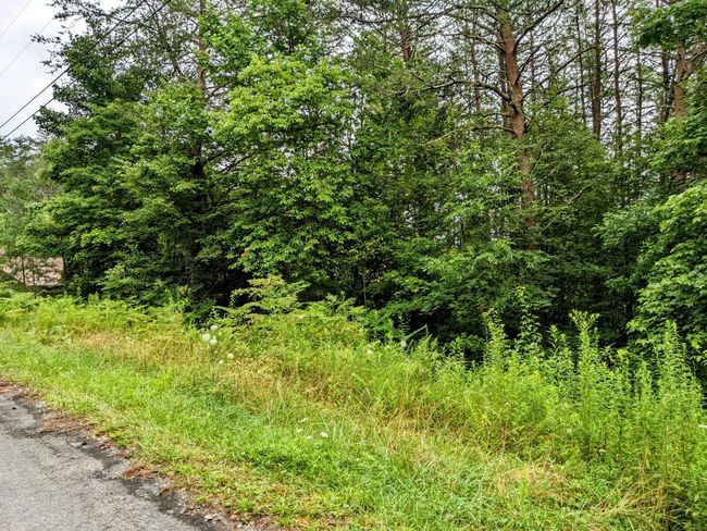 32 Lakeview Dr, Home with 0 bedrooms, 0 bathrooms and null parking in Turtletown TN | Image 11