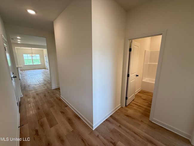Panola | Image 20