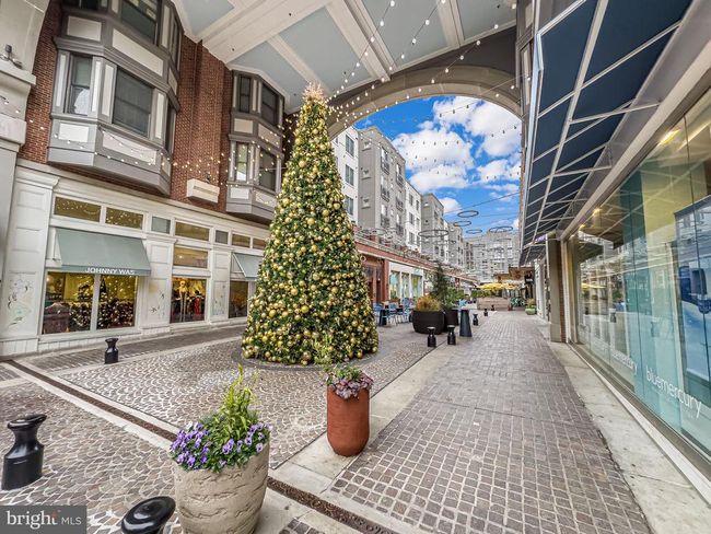 S1013 - 7500 Woodmont Ave, Condo with 1 bedrooms, 1 bathrooms and null parking in BETHESDA MD | Image 37