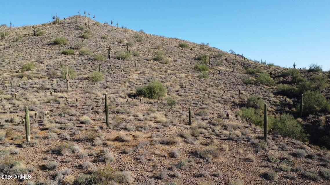Land in Phoenix 4