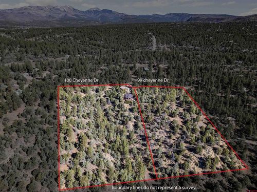 99 Cheyenne Dr, Durango, CO, 81303-3613 | Card Image