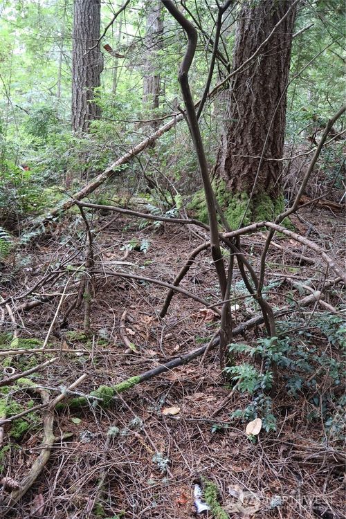 3659 Green Mountain Rd Nw, Bremerton, WA, 98312-4622 | Card Image