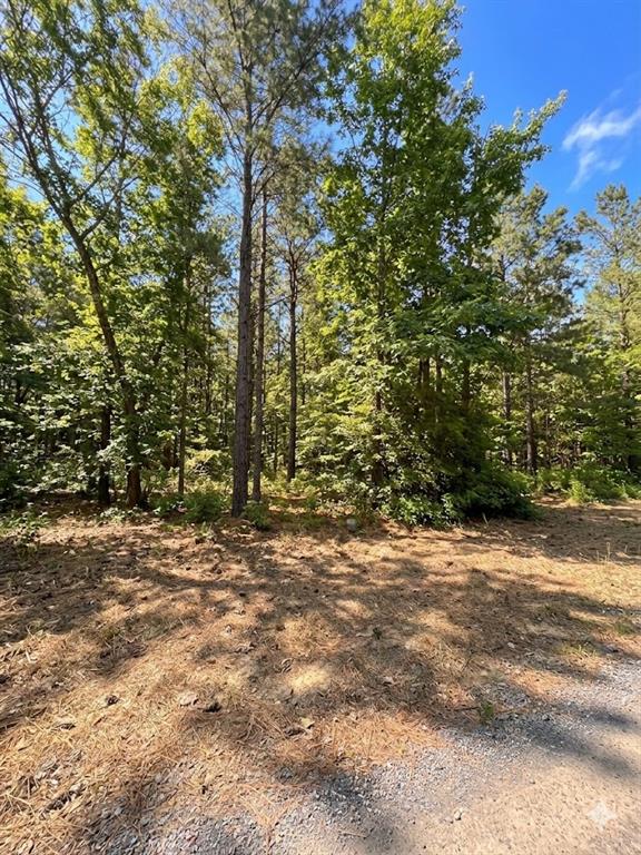 Land in Broken Bow 2