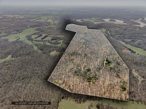 4220 4220 Will Jackson Rd Road, Cadiz, KY, 42211 | Card Image