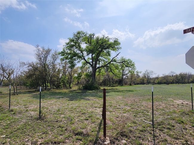 212 Oak Glen Ln, Home with 0 bedrooms, 0 bathrooms and null parking in Briggs TX | Image 8
