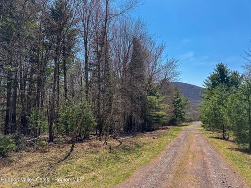 116 Sugar Loaf Trl, East Jewett, NY, 12424-5313 | Card Image