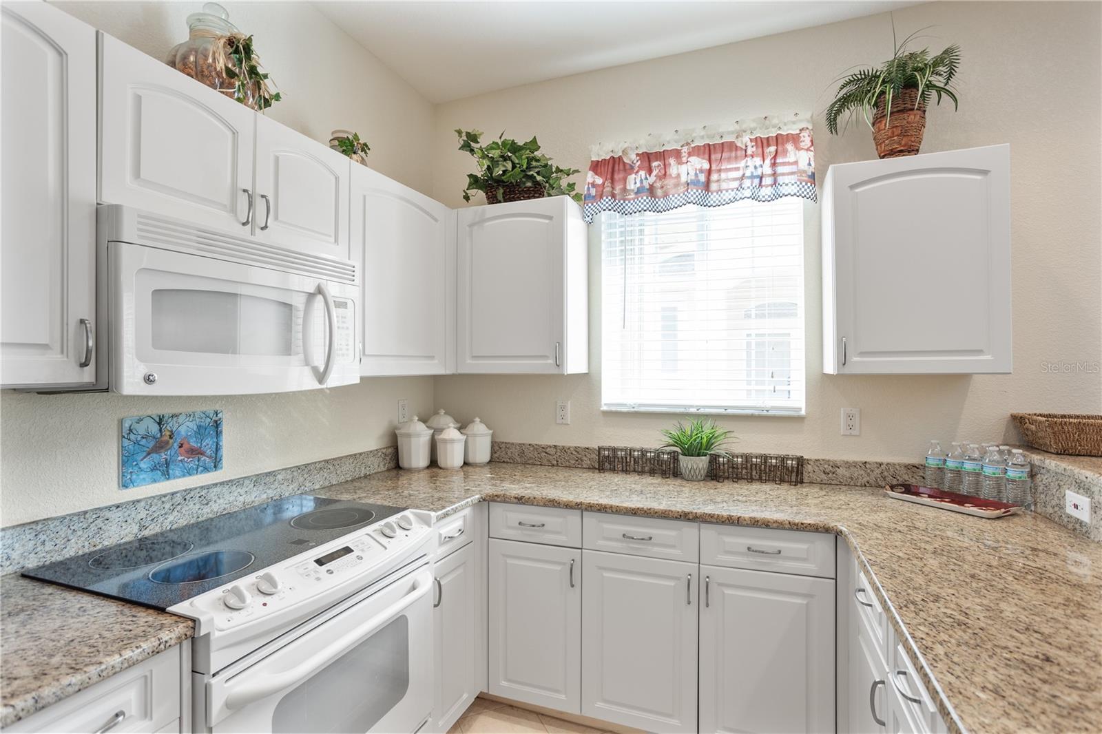 Residential in PUNTA GORDA 5