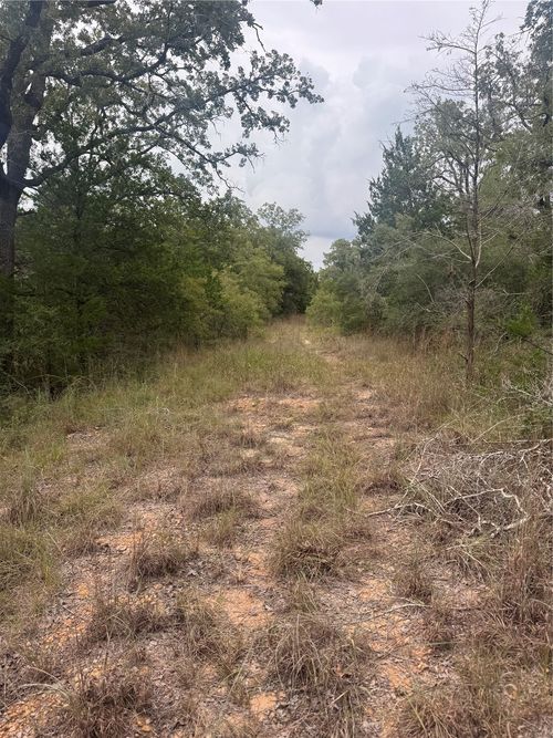 Lot 6 Spruce St, Paige, TX, 78659 | Card Image