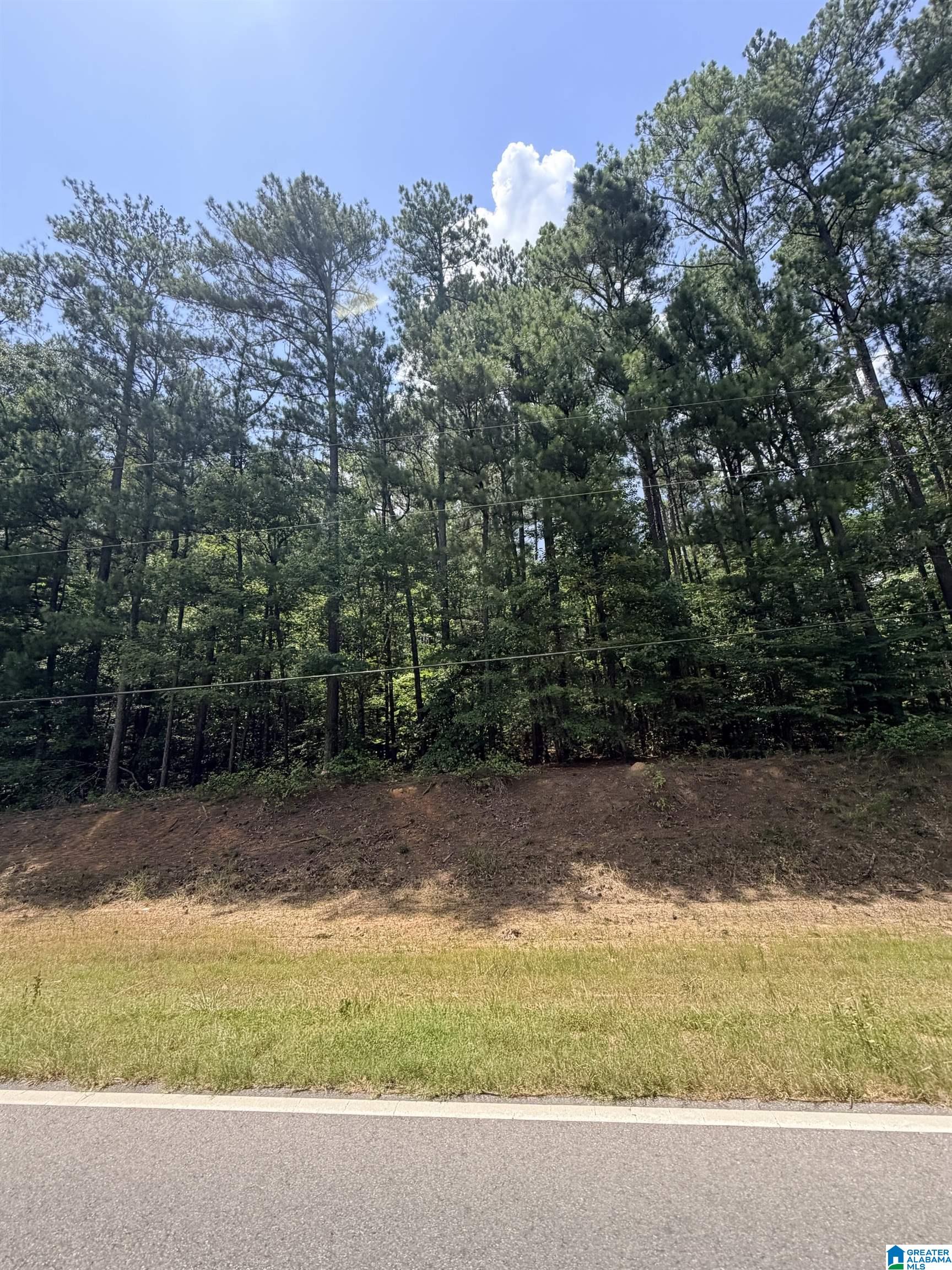Land in STERRETT 2
