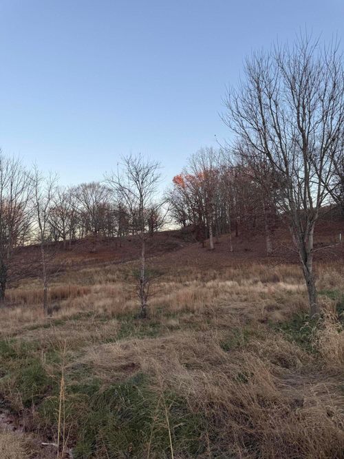 12541 Ironworks Rd, Winchester, KY, 40391-9176 | Card Image