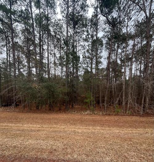 Lot 80 Banning Way Road, TALLAHASSEE, FL, 32309 | Card Image