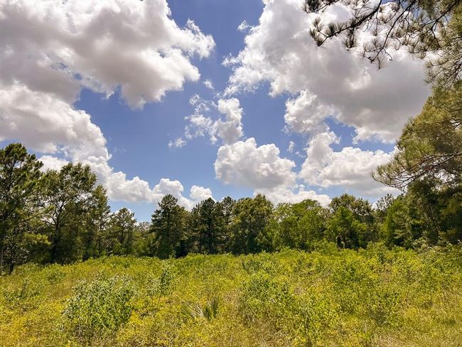 1 Avenue C, Home with 0 bedrooms, 0 bathrooms and null parking in Batson TX | Image 7