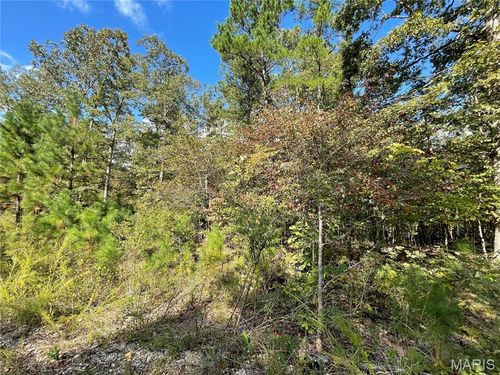 6 Woodland Dr, Poplar Bluff, MO, 63901-8847 | Card Image