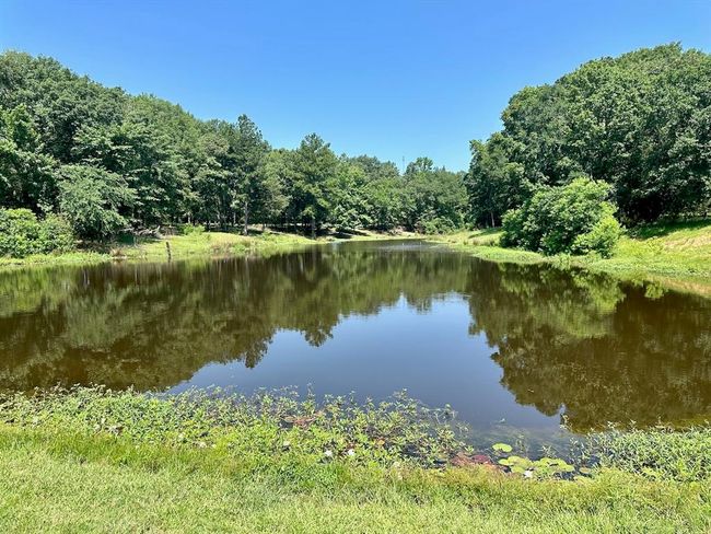 5163 Us Highway 84 W, House other with 3 bedrooms, 3 bathrooms and 2 parking in Timpson TX | Image 5