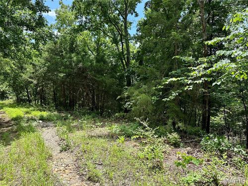 TBD Bluebird Ln, Rolla, MO, 65401 | Card Image