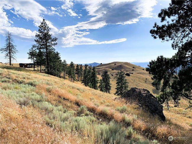 100 Pine Bluffs Ln, Home with 0 bedrooms, 0 bathrooms and null parking in Waterville WA | Image 24
