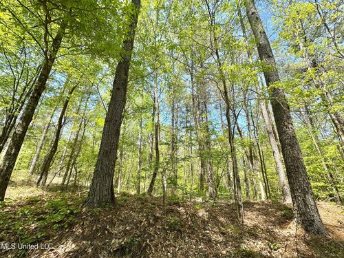 0 County Road 375, Carrollton, MS, 38917 | Card Image