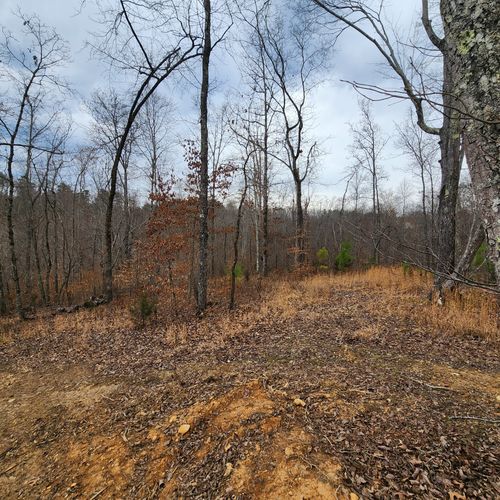 584 Back Bone Rd, Sparta, TN, 38583-4102 | Card Image