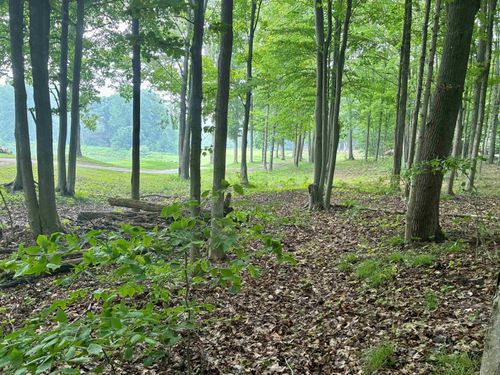 V/L 8 Forest Trail, Custer Township, MI, 49615 | Card Image