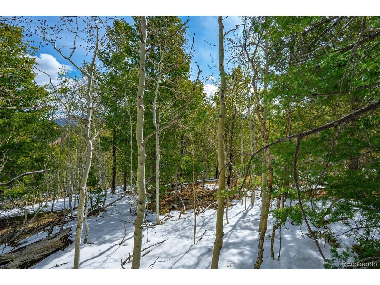 Land in Cripple Creek 4