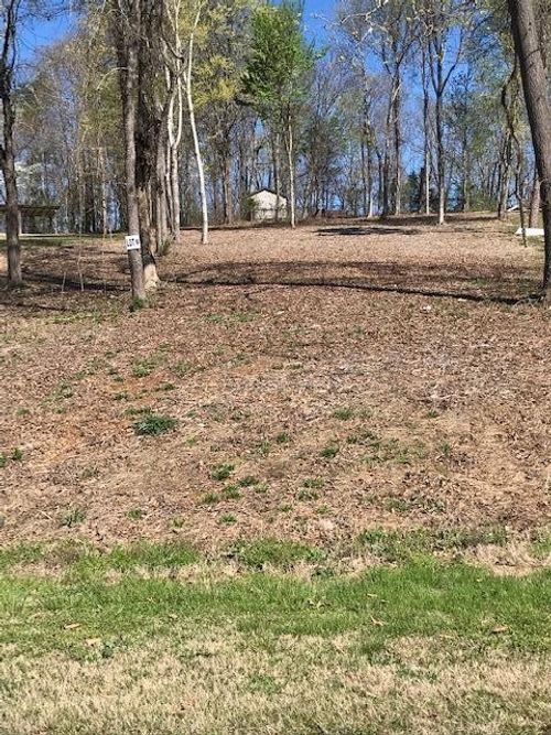 6 Piney View Drive, Spring City, TN, 37381 | Card Image