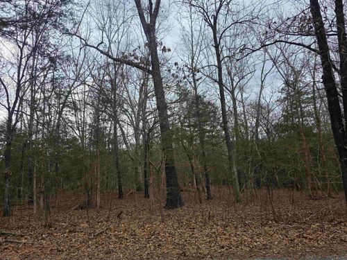 L19 B6 Big Horn Drive, Cherokee Village, AR, 72529 | Card Image