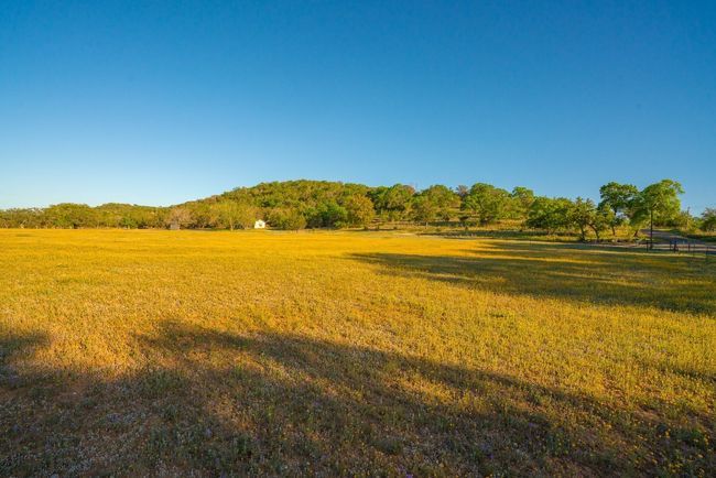 View of nature | Image 14