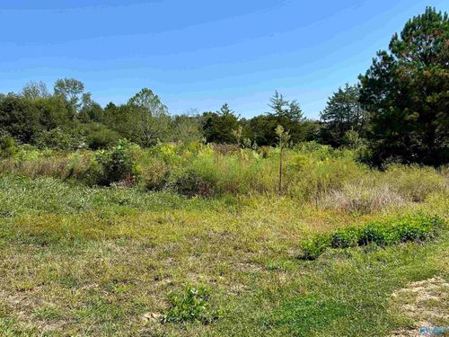 5675 Nixon Chapel Rd, Albertville, AL, 35950 | Card Image