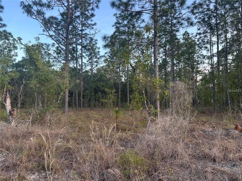 LOT 3 Nw Amberjack Ave, Dunnellon, FL, 34431 | Card Image