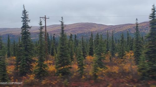 Mi 162 Glenn Hwy, Glennallen, AK, 99588 | Card Image