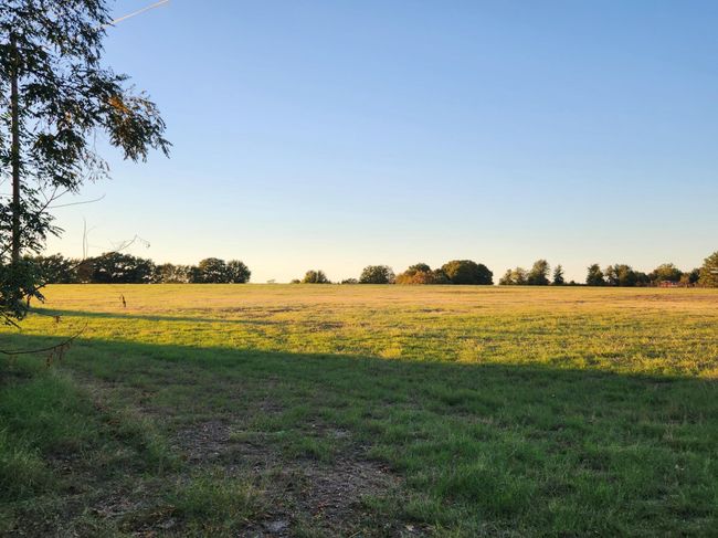 0 County Rd, Home with 0 bedrooms, 0 bathrooms and null parking in Eustace TX | Image 6
