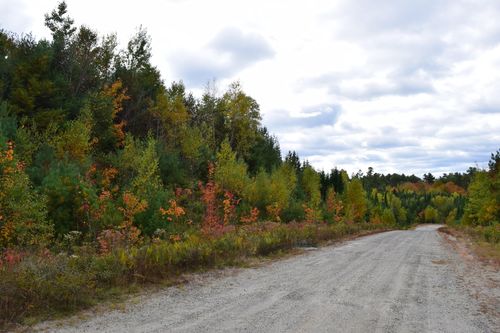 Lot 14 Surry Ridge Subdivision, Surry, ME, 04684 | Card Image