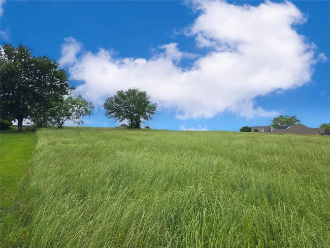 Lot 61 Open Water Way, Home with 0 bedrooms, 0 bathrooms and null parking in Streetman TX | Image 13