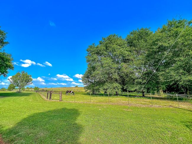 6861 County Road 4710, House other with 4 bedrooms, 2 bathrooms and null parking in Larue TX | Image 17
