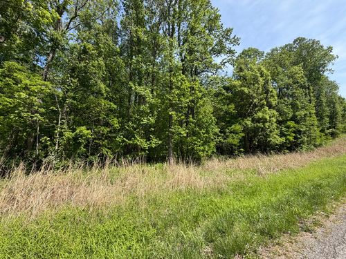 0000 Tower Rock Rd, Elizabethtown, IL, 62931 | Card Image