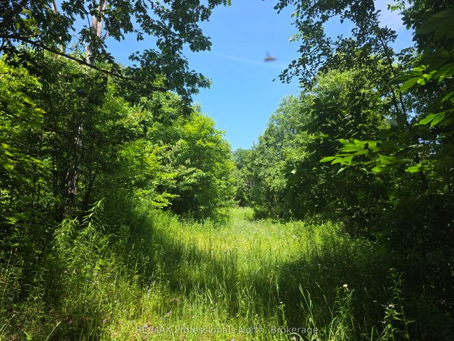 1134 Walker Line Rd, Home with 0 bedrooms, 0 bathrooms and null parking in Algonquin Highlands ON | Image 19