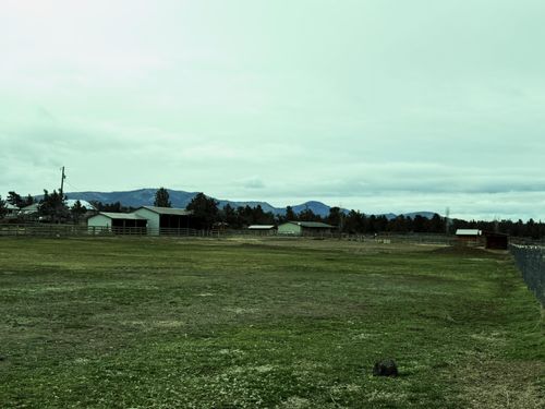 15110 Sw Twin Lakes Rd, Powell Butte, OR, 97753-1821 | Card Image
